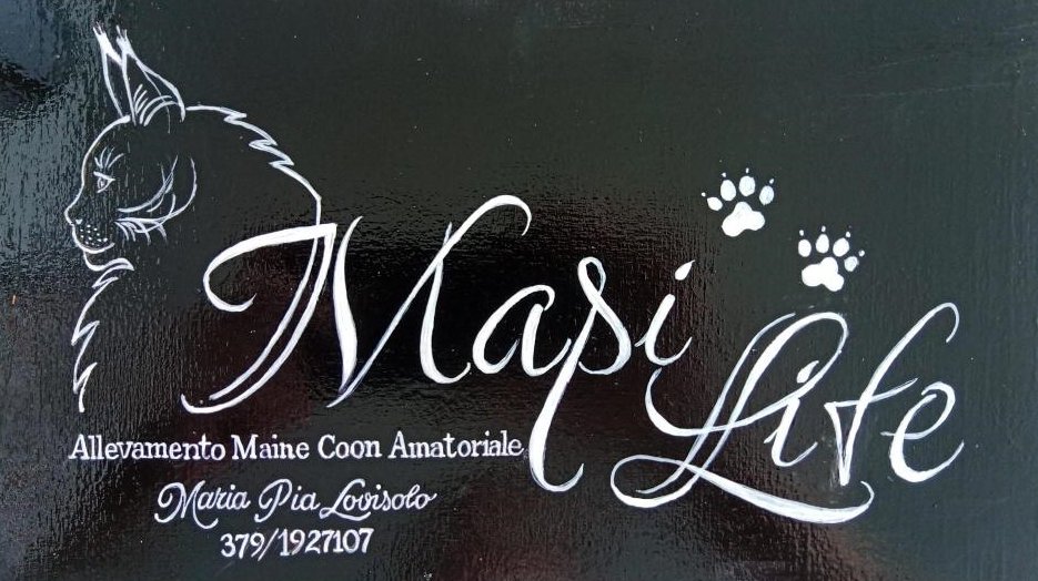 Mapi Life